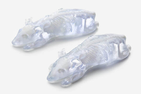 BioMouse模體,BioMouse小鼠模型，Phantech Bio-Mouse多功能小鼠模體