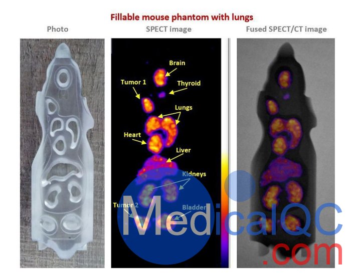 BIOEMTECH可填充鼠模型,PET/SPECT鼠模模體，Mouse / Rat模體